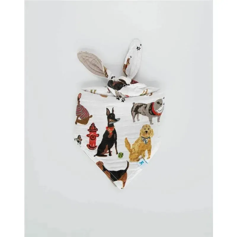 Miniatura 1