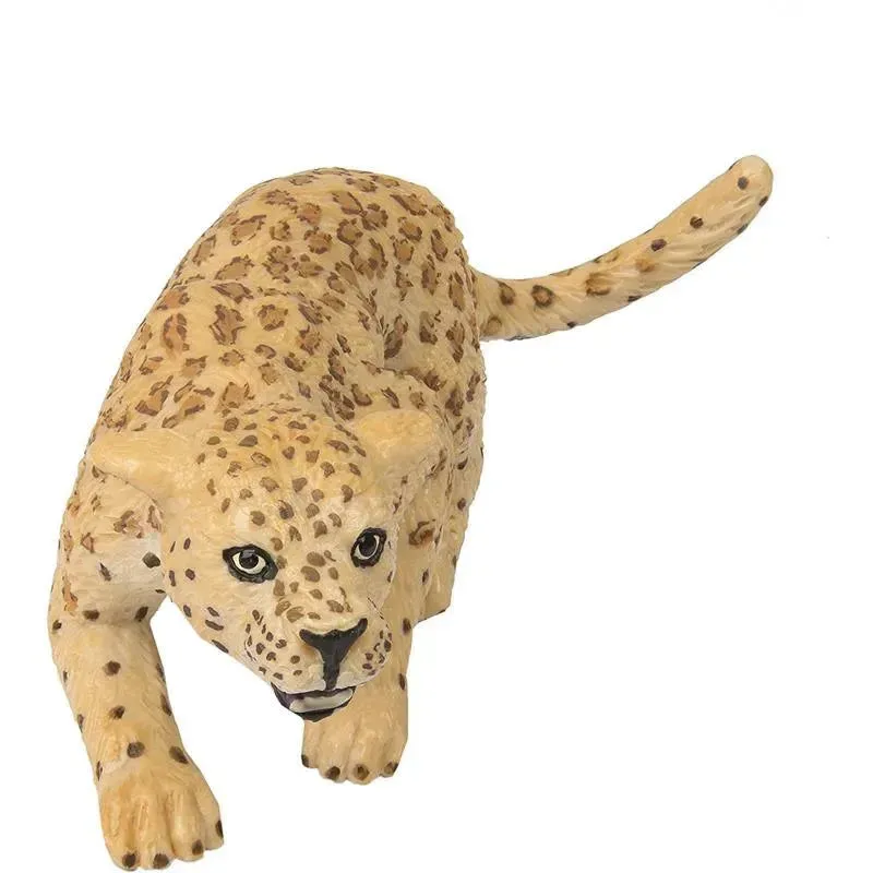Imagem do produto 4
