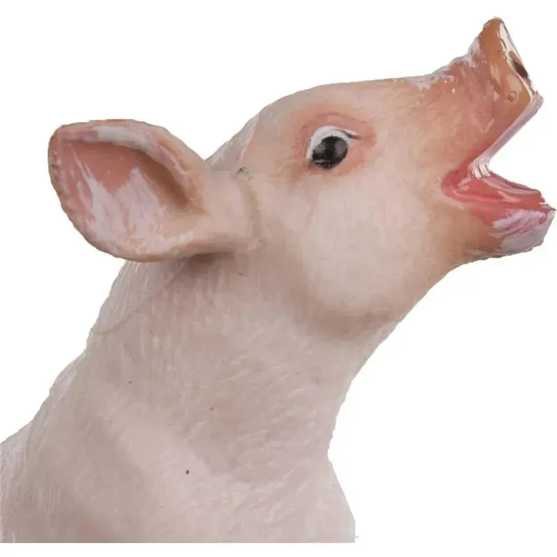 Imagem do produto 3