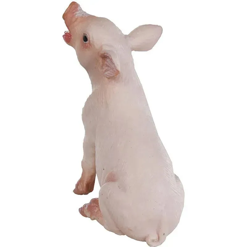 Imagem do produto 4